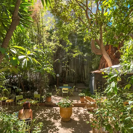 Le Windsor, Jungle Art Hotel-2